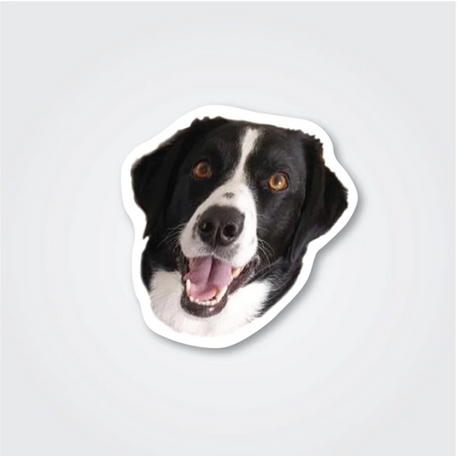 Custom Face & Pet Stickers