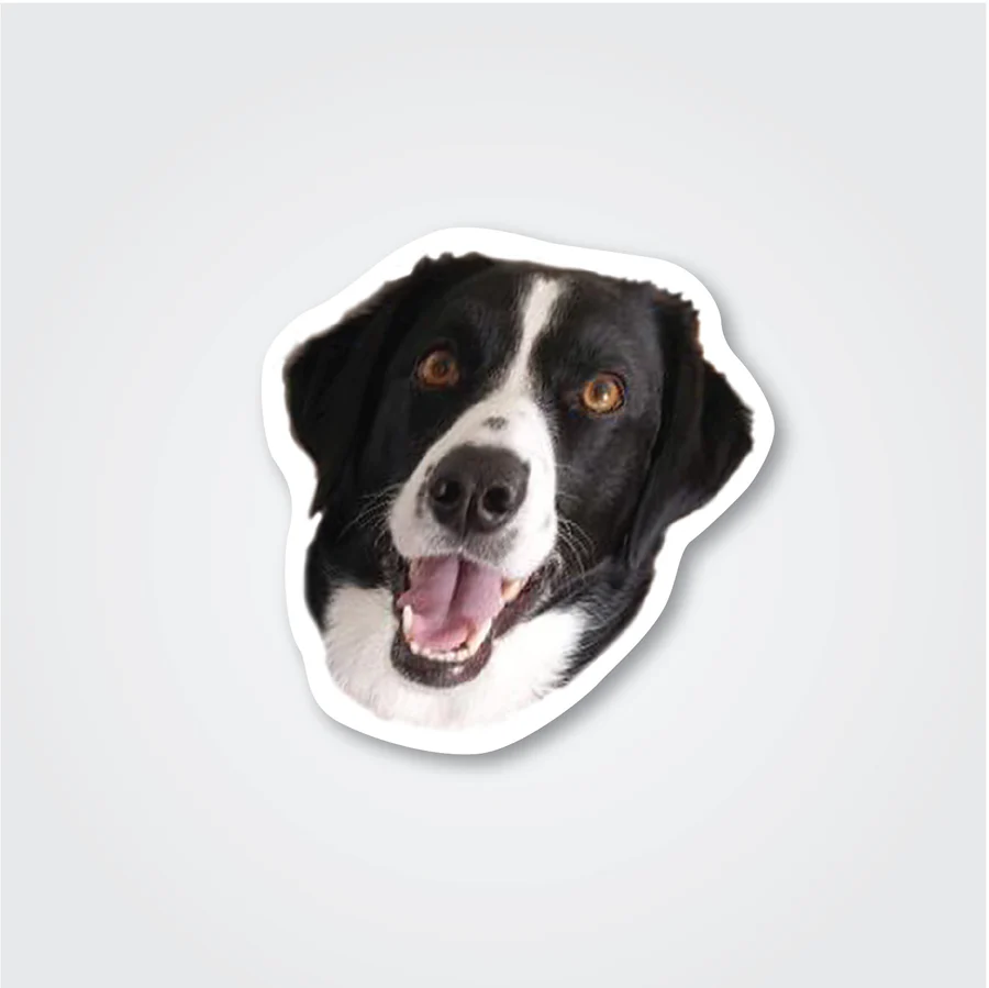 Custom Face & Pet Stickers